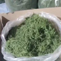 سبزی خشک درجه یک|خوردنی و آشامیدنی|قم, بلوار امین و ساحلی|دیوار