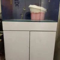 اکواریوم ریملس سوپر کلیر