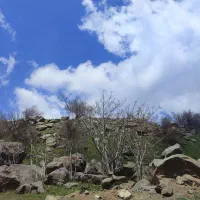 زمین مسکونی ۲۰۰ متر (امام زاده کوه)
