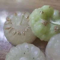 شمع طرح گل عمده‌و‌تک|صنایع دستی و سایر لوازم تزئینی|خرمشهر, |دیوار