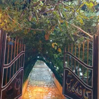 رستوران ماهان کباب طعم خانگی|اجارهٔ کوتاهمدت ویلا و باغ|ماهان, |دیوار