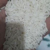 برنج دمسیاه کلاله