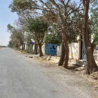 زمین-300-متری-قابل-ساخت-سهیلیه-کردان-جنوبی