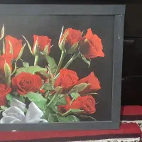 تابلو گل رزقرمز