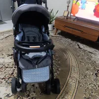 کالسکه دلیجان مدل بنیتا.نو