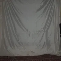 همخونه