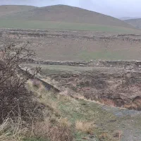 چند قطعه زمین زراعی دیم