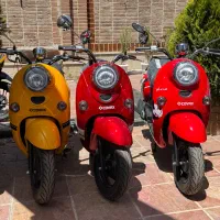 کوواکس وینو دخترانه