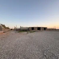 پرواربندی و خط ذرت علوفه ای