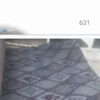 پخش عمده موکت|موکت|بندرعباس, |دیوار