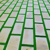 چمن مصنوعی نواری بین سنگی و بین ژوئن برش خورده|مصالح و تجهیزات ساختمان|مشهد, وکیلآباد|دیوار