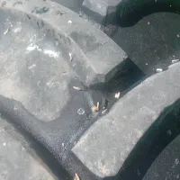 کمباین۸۴ برزیل|خودرو سنگین|مرودشت, نقش رستم|دیوار