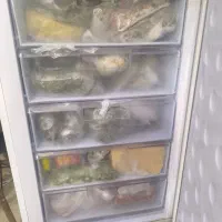 یخچال الکترواستیل|یخچال و فریزر|فردیس, قریشی|دیوار