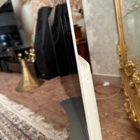 تلویزیون ال جی LG OLED|تلویزیون و پروژکتور|اردبیل, |دیوار