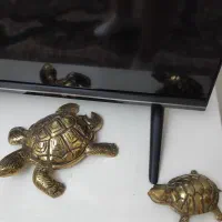 مجسمه برنجی|مجسمه، تندیس، ماکت|پاکدشت, پاکدشت (مامازند)|دیوار