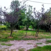 زمین مسکونی