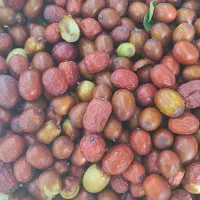 عناب باغی تازه