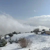 زغال