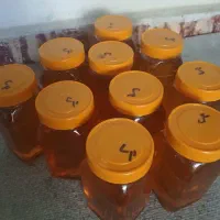 عسل گون نیمه تغذیه