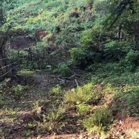 زمین-مسکونی