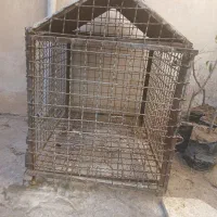 قفس|لوازم جانبی حیوانات|نیشابور, عدالت|دیوار