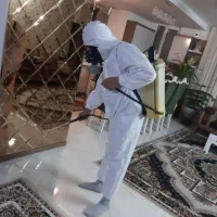 سمپاشی سوسک سم پاشی ساس کنه درتمام نقاط ۱۰۰٪تضمینی