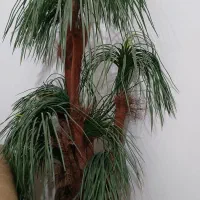 درختچه مصنوعی
