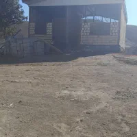 کار بنایی|خدمات پیشه و مهارت|کوهدشت, |دیوار