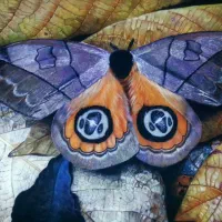 تابلو نقاشی پاستل برگهای پاییزی|تابلو، نقاشی، عکس|تهران, شهرک آتی شهر|دیوار