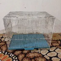 قفس پرنده|لوازم جانبی حیوانات|گرگان, |دیوار