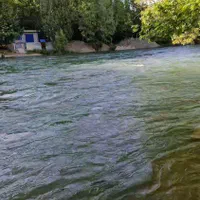 اجاره ویلا منزل