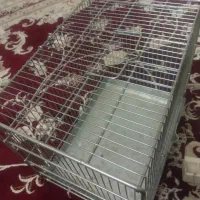 قفس