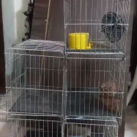 قفس پرنده