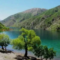 آموزش مقدماتی شنا خصوصی و تخصصی