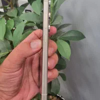 Samsung Galaxy S24 Ultra سامسونگ|موبایل|تهران, جردن|دیوار