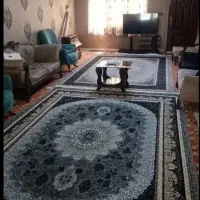 اجاره روزانه سویت مبله فول امکانات برای مرفحین