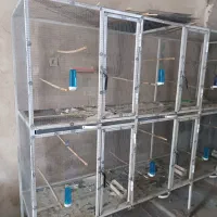 لوازم پرندگان زینتی|لوازم جانبی حیوانات|نقده, |دیوار