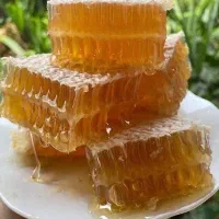 تولید و پخش عمده و جزئی عسل و محصولات خشکبارمغذی