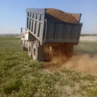 کود حیوانی گوسفند چند ساله