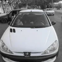 پژو ۲۰۶ sd  رنگ فابریک v20