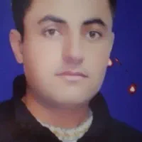 آشپزی
