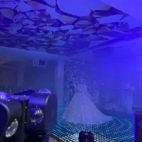 دیجی دی جی خانم|خدمات پذیرایی، مراسم|تبریز, |دیوار