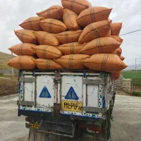 خریدار و فروشنده یونجه کشاورزان دهدشت هستیم