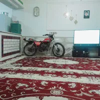 سوزوکی تی اس