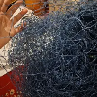 تور شیر