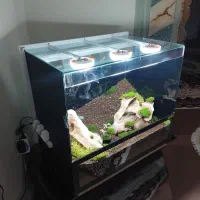 تراریوم جاودان