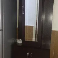 جاکفشی ایستاده