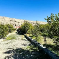 فروش باغ ویلائی گچساران روستای کلاغ نشین|فروش خانه و ویلا|دوگنبدان, |دیوار