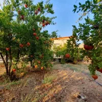 ویلایی شمالی جنوبی مخابرات / بازسازی / باسایکی