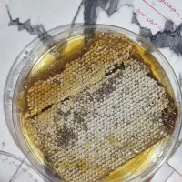 عسل هزار گیاه به شرط